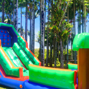 Tobogã com Piscina